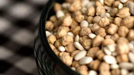 در بارداری خوردن این 3 ماده غذایی ممنوع است