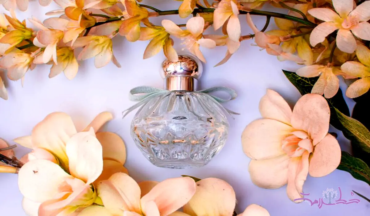 محبوب ترین عطرهای دنیا / چه عطری زنانه و چه عطری مردانه است؟