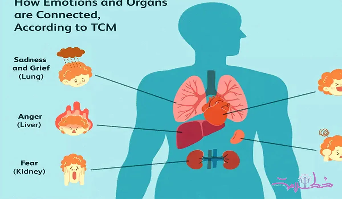 هر عضو داخلی بدن تحت تاثیر چه هیجان و عاطفه ای قرار دارد+ طب چین چه می گوید؟