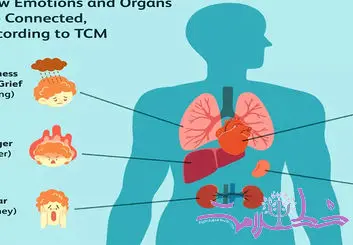 هر عضو داخلی بدن تحت تاثیر چه هیجان و عاطفه ای قرار دارد+ طب چین چه می گوید؟