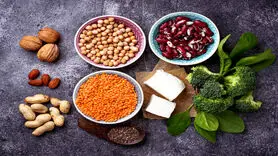 این گیاهان همان کار گوشت را برای بدن می کنند