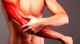 علل خستگی مفرط و درد شدید عضلات + راهکار