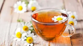 نقش مهم دو ماده غذایی در کاهش اضطراب و بی قراری