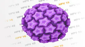 آیا ویروس HPV با سرطان آلت تناسلی مرتبط است؟ + علائم سرطان آلت تناسلی مردان 