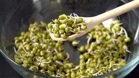 چرا  باید ماش را به رژیم غذایی تان اضافه کنید؟
