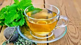 بادرنجبویه را هر طور بخورید افسردگی را کاهش می دهد