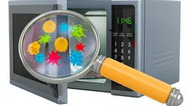 این میکروب‌ها در مایکروویو زندگی می‌کنند 
