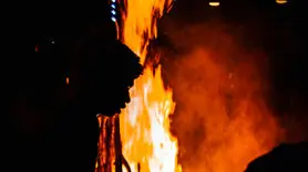 آتش سوزی جنگل چگونه به روان کودکان آسیب می زند؟ +یافته های تکان دهنده یک مطالعه جدید