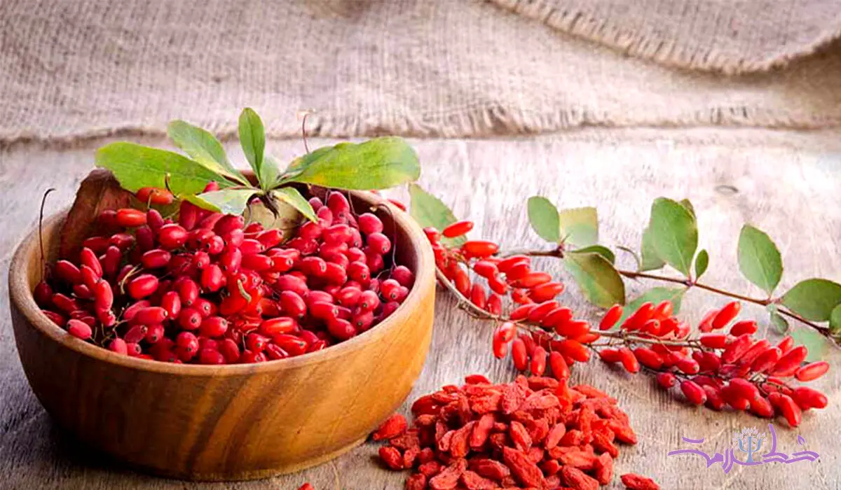 با ارزش های دارویی و سلامتی زرشک آشنا شوید