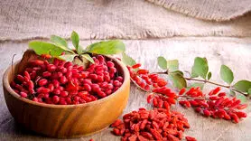 با ارزش های دارویی و سلامتی زرشک آشنا شوید