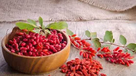 با ارزش های دارویی و سلامتی زرشک آشنا شوید