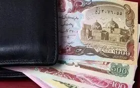 افغانی افغانستان چند؟ / آخرین قیمت افغانی افغانستان امروز دوشنبه 24 دی ماه 1403