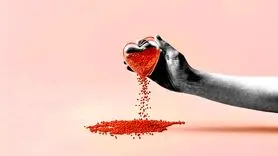 فیلم/ بیشتر رنجش های رابطه از این نقطه شروع می شود + با دیدن این ویدئو اختلافات را کم کنید 