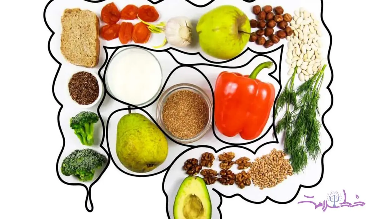 مهمترین نکات برای حفظ سلامتی روده و گوارش