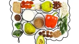 مهمترین نکات برای حفظ سلامتی روده و گوارش