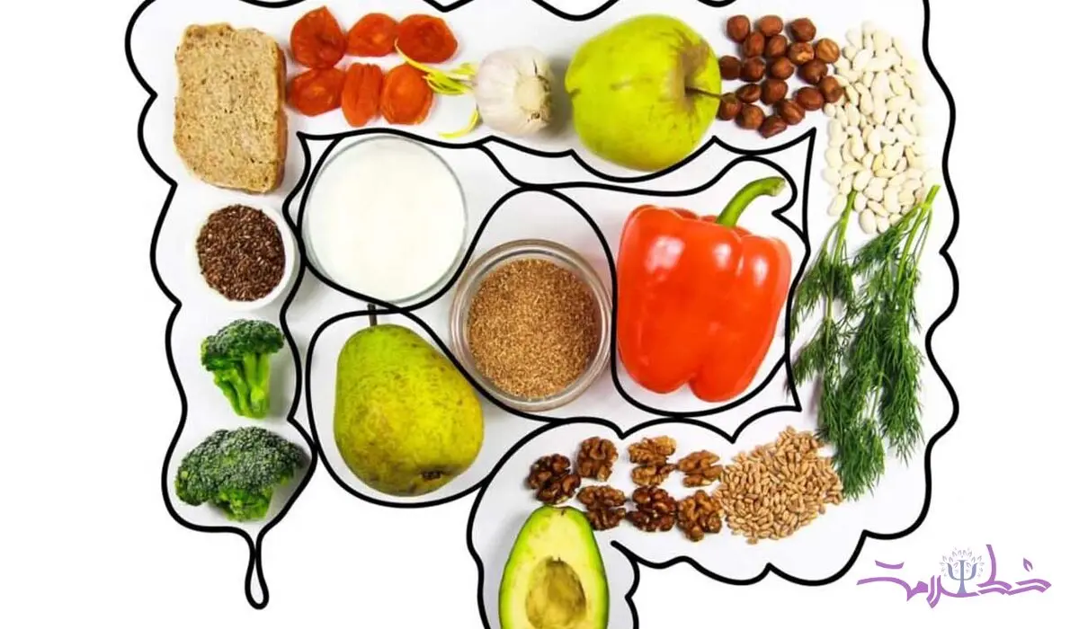 مهمترین نکات برای حفظ سلامتی روده و گوارش