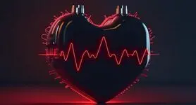 میزان ضربان قلب در حالت استراحت چقدر است؟