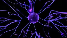 چرا استرس می‌تواند باعث ابتلا به PTSD شود؟ + یافته‌های جدید 