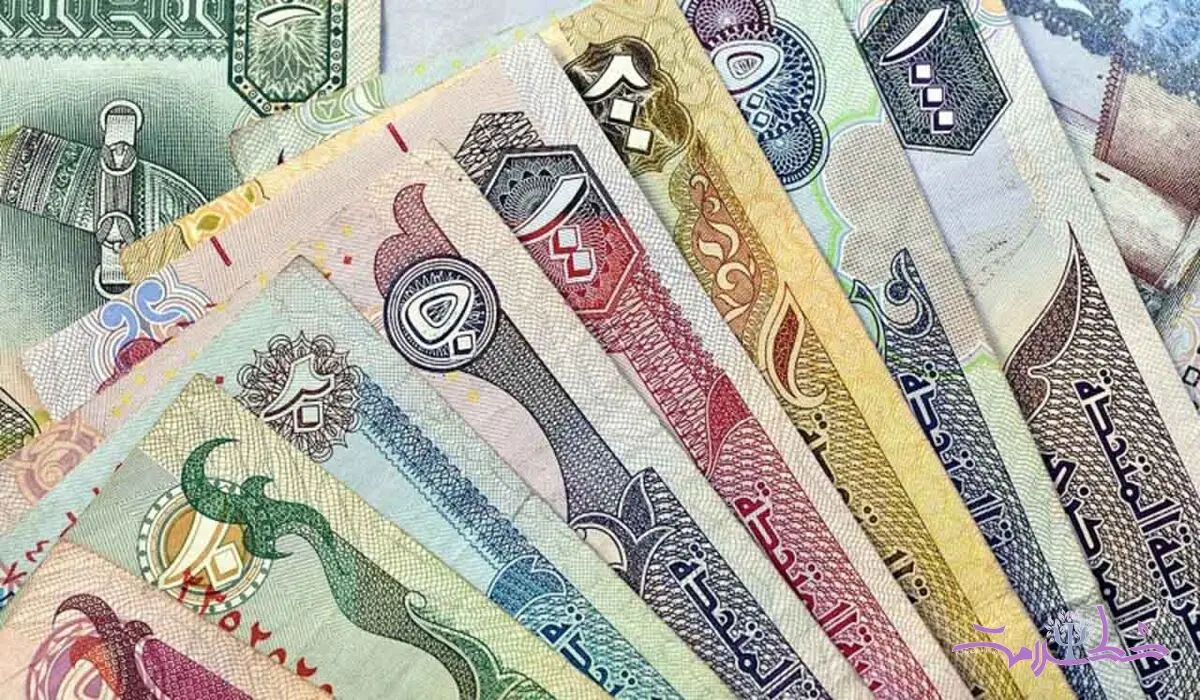 درهم امارات چند؟ / آخرین قیمت درهم امارات امروز یکشنبه 2 دی ماه 1403