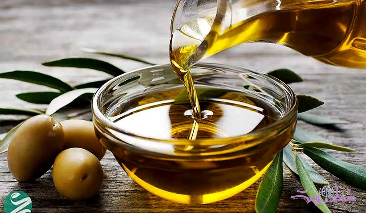 تاثیر شگفت انگیز روغن زیتون بر مغز / آخرین یافته دانشمندان هاروارد