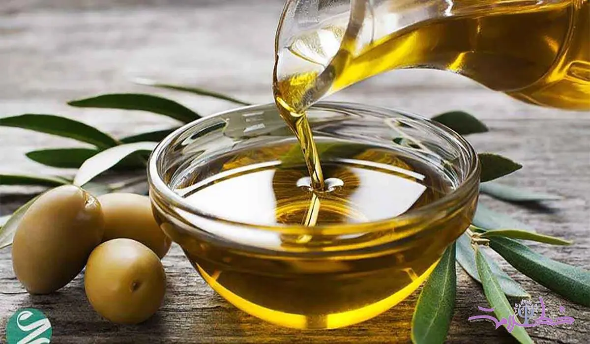تاثیر شگفت انگیز روغن زیتون بر مغز / آخرین یافته دانشمندان هاروارد