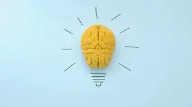 این خوشمزه در روزهای امتحان حافظه را تقویت می کند