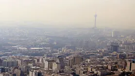 دو ویتامین نجات بخش در آلودگی هوا