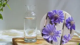 خواص بی نظیر عرق کاسنی بر اعصاب و روان