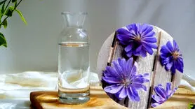 خواص بی نظیر عرق کاسنی بر اعصاب و روان