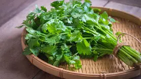 طب سنتی شاه سبزی ها را به این سبزی خوش عطر و بو داده است