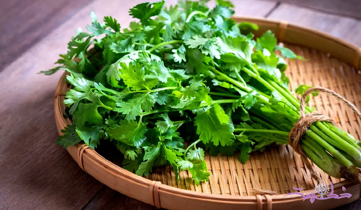 طب سنتی شاه سبزی ها را به این سبزی خوش عطر و بو داده است