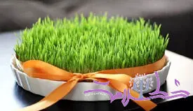 با خواص آب سبزه گندم چرا باید آشنا شوید!