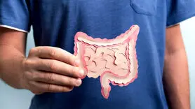 ۳ خوراکی که چراغ قرمز سلامت روده است