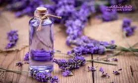 بوی خواب آرام را استشمام کنید