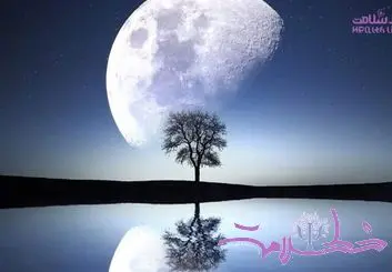 خشم و عشق پائیزی در سکانس آخر / داستان یک زندگی واقعی در اتاق درمان روانشناس