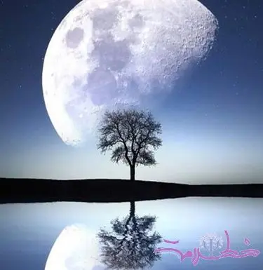 خشم و عشق پائیزی در سکانس آخر / داستان یک زندگی واقعی در اتاق درمان روانشناس