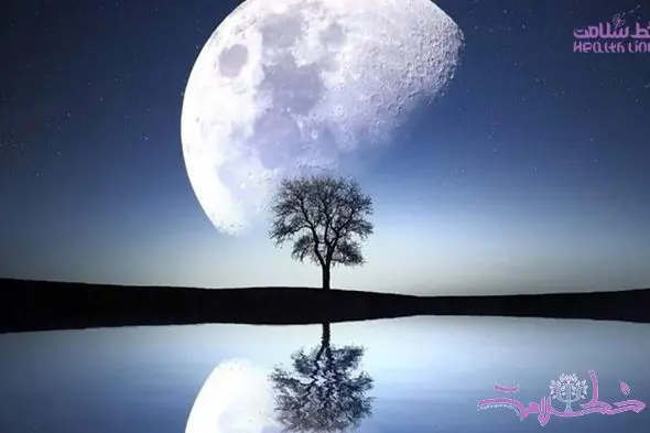 خشم و عشق پائیزی در سکانس آخر / داستان یک زندگی واقعی در اتاق درمان روانشناس