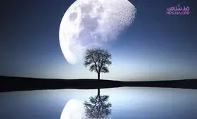 خشم و عشق پائیزی در سکانس آخر / داستان یک زندگی واقعی در اتاق درمان روانشناس