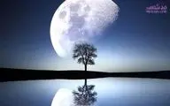 خشم و عشق پائیزی در سکانس آخر / داستان یک زندگی واقعی در اتاق درمان روانشناس