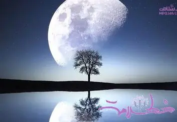 خشم و عشق پائیزی در سکانس آخر / داستان یک زندگی واقعی در اتاق درمان روانشناس