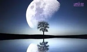 خشم و عشق پائیزی در سکانس آخر / داستان یک زندگی واقعی در اتاق درمان روانشناس