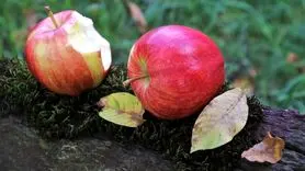 سیب قرمز خستگی ها را کاهش می دهد