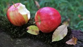 سیب قرمز خستگی ها را کاهش می دهد