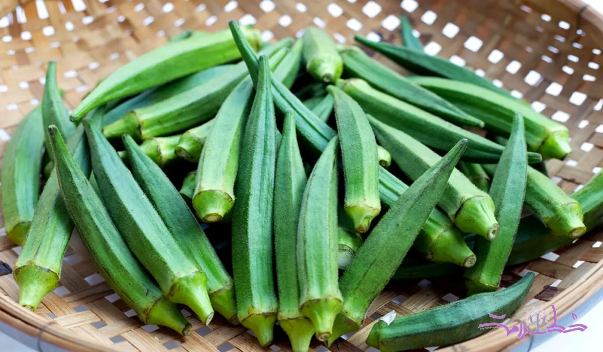 هشدار اطبا طب سنتی در مورد بامیه +  طبع بامیه سرد است یا گرم؟