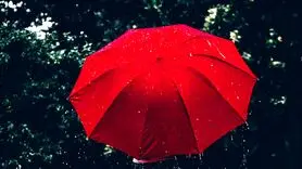 قرمز رنگ دو مفهوم ضد و نقیض دارد+ کدامیک را باور کنیم؟