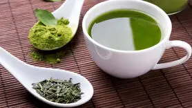 چای شکم تان را لاغر می کند+چگونه بنوشید