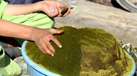 ناس چیست و چه ارتباطی با سرطان دهان دارد؟