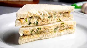 طرز تهیه ساندویچ مرغ سرد + خوشمزه و فوری