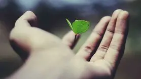 ۵ راهکار علمی برای مقابله با بی معنایی زندگی