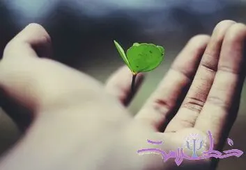۵ راهکار علمی برای مقابله با بی معنایی زندگی